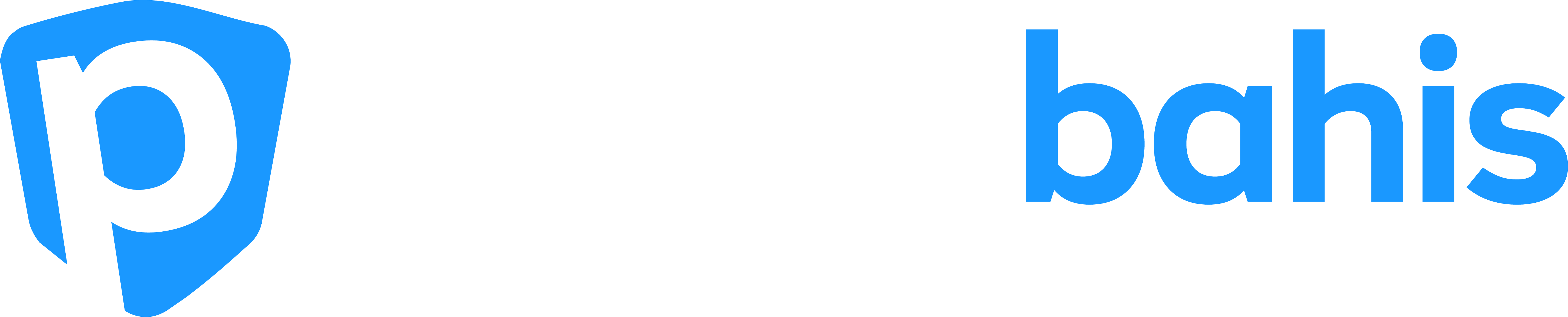 Prime Logo